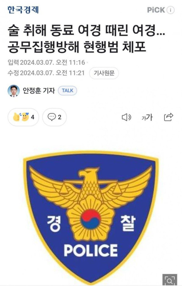 술 취해 동료 여경 때린 여경…공무집행방해 현행범 체포